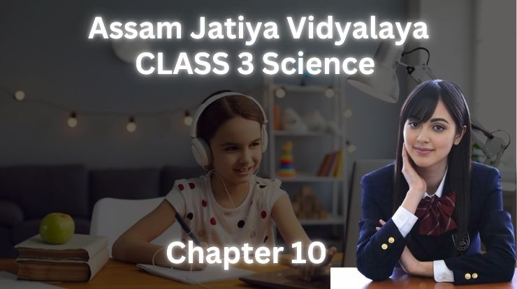 উদ্ভিদ | Class 3 Science Chapter 10 |Assam jatiya vidyalaya |